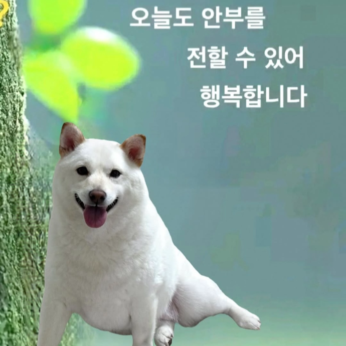 인플루언서 차단 테스트